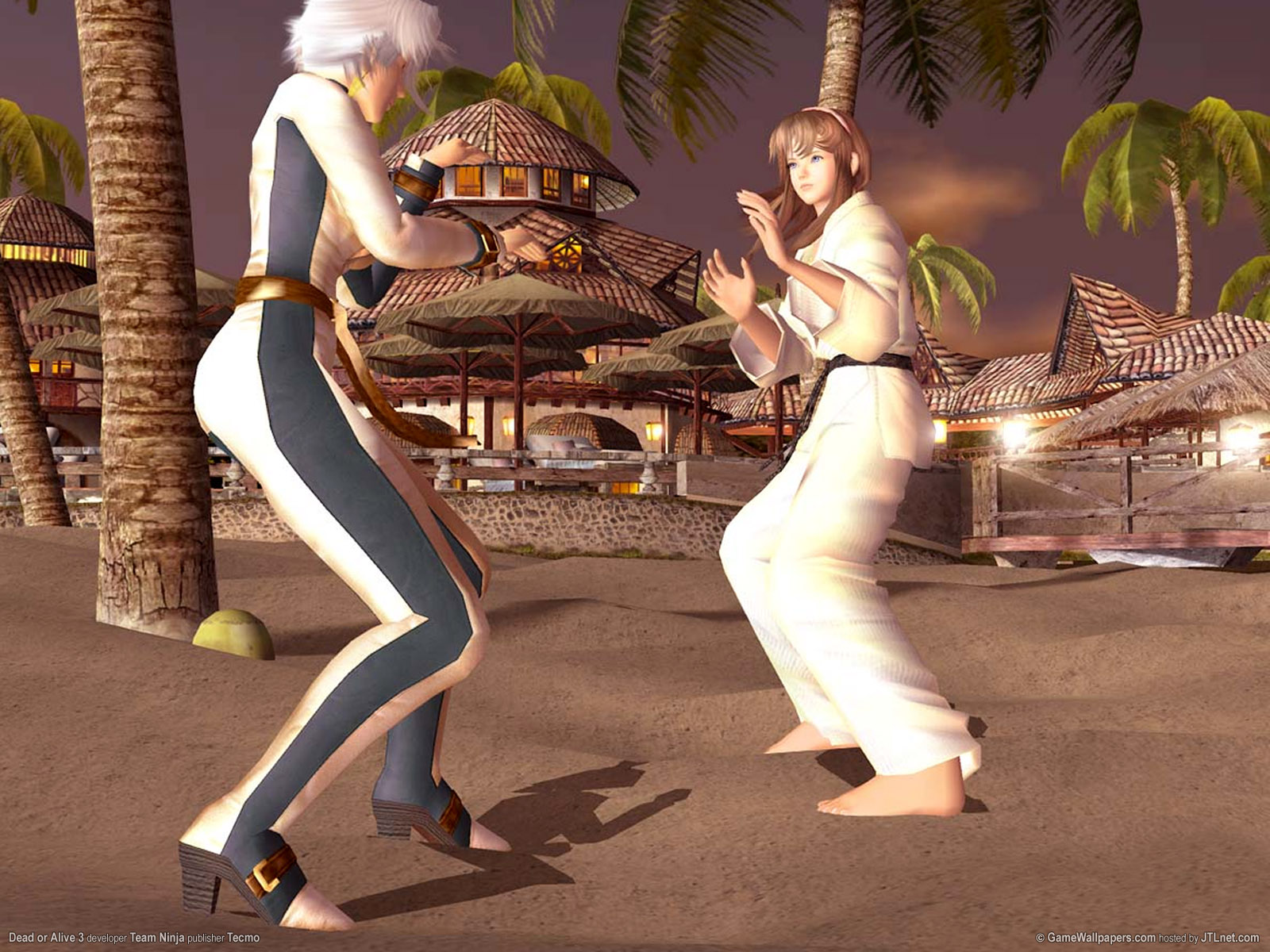 dead or alive 3 02
