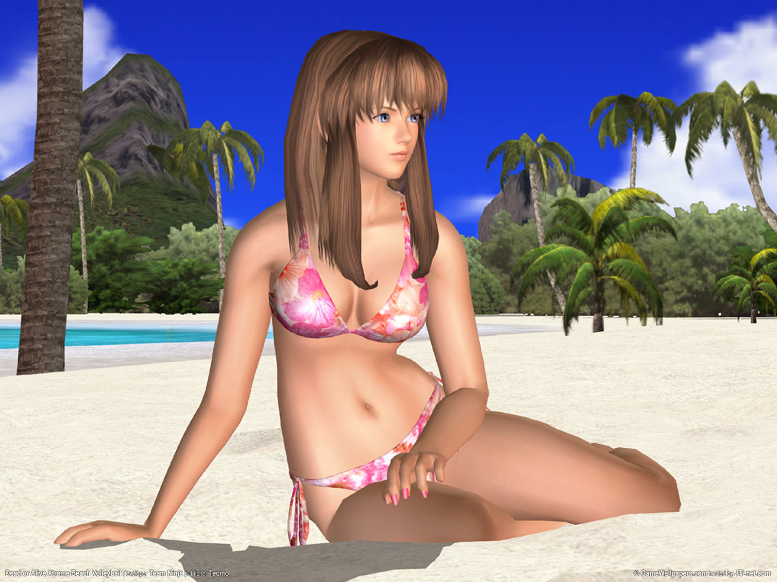 dead or alive xtreme beach volleyball 01