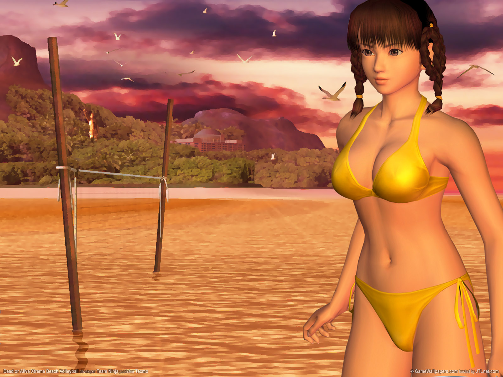 dead or alive xtreme beach volleyball 02