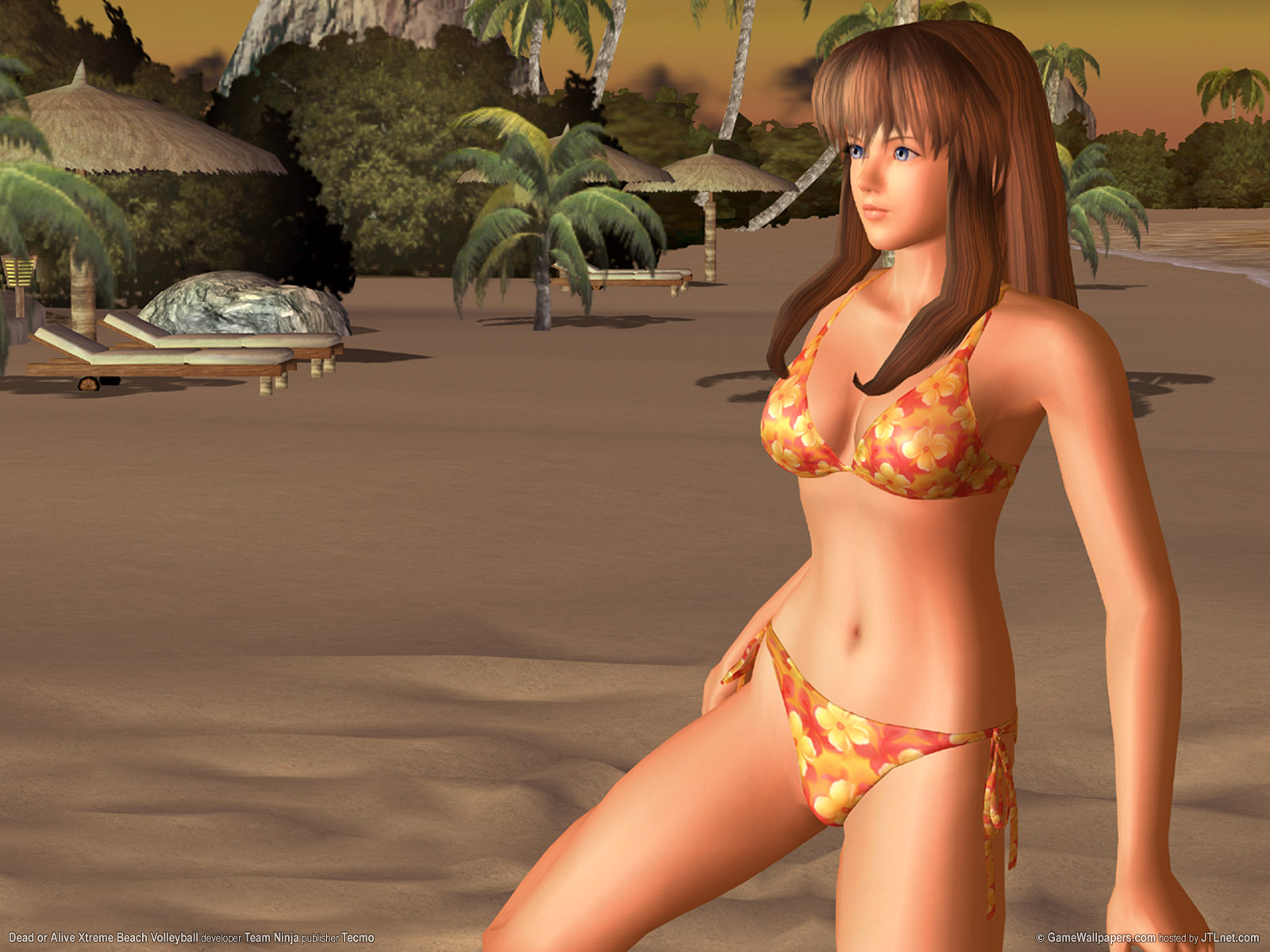 dead or alive xtreme beach volleyball 04