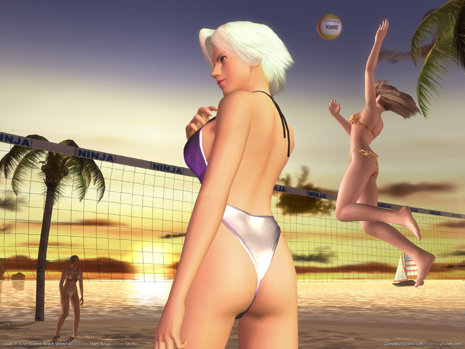 dead or alive xtreme beach volleyball 17