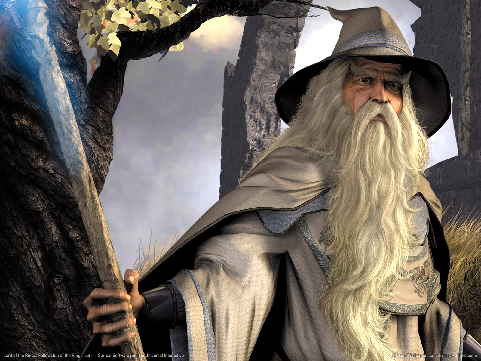 lord of the rings fellowship of the ring 03
