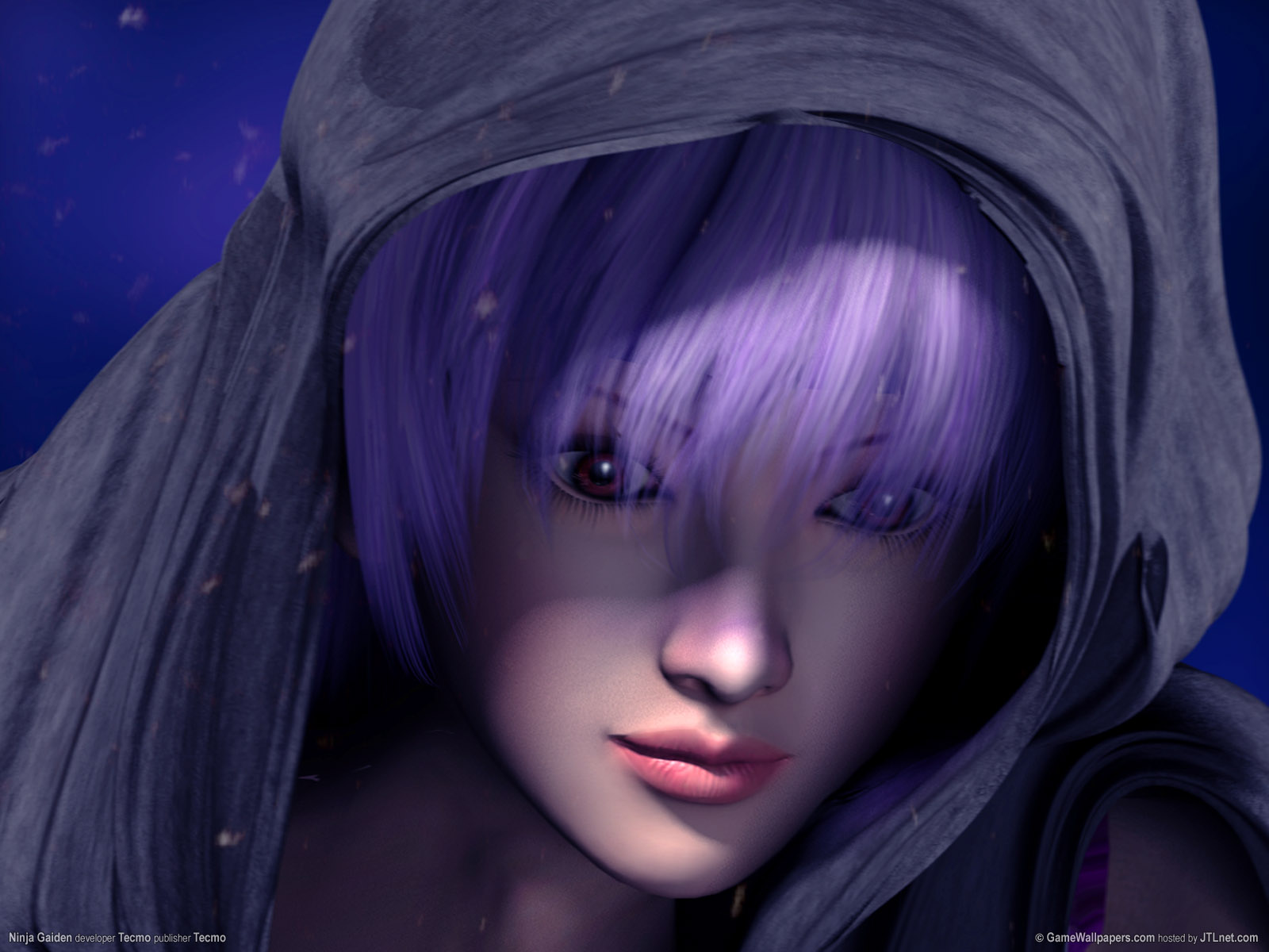 ninja gaiden 02