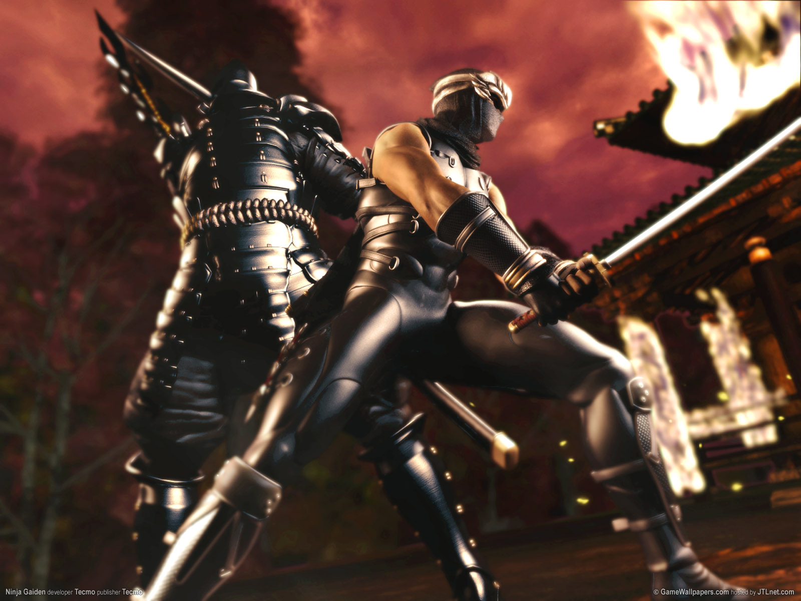 ninja gaiden 05